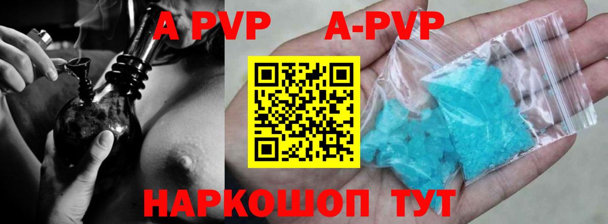 A-PVP СК Гусев