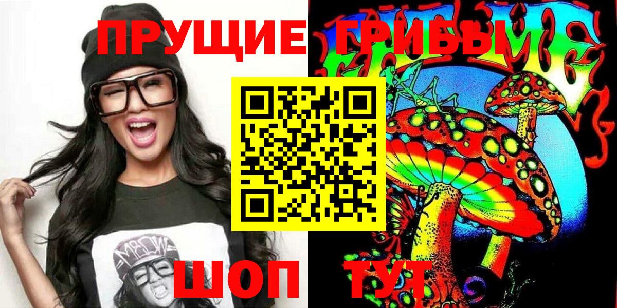 Гусев  Галлюциногенные грибы GOLDEN TEACHER  Псилоцибиновые грибы MAGIC MUSHROOMS  Вход с VPN 